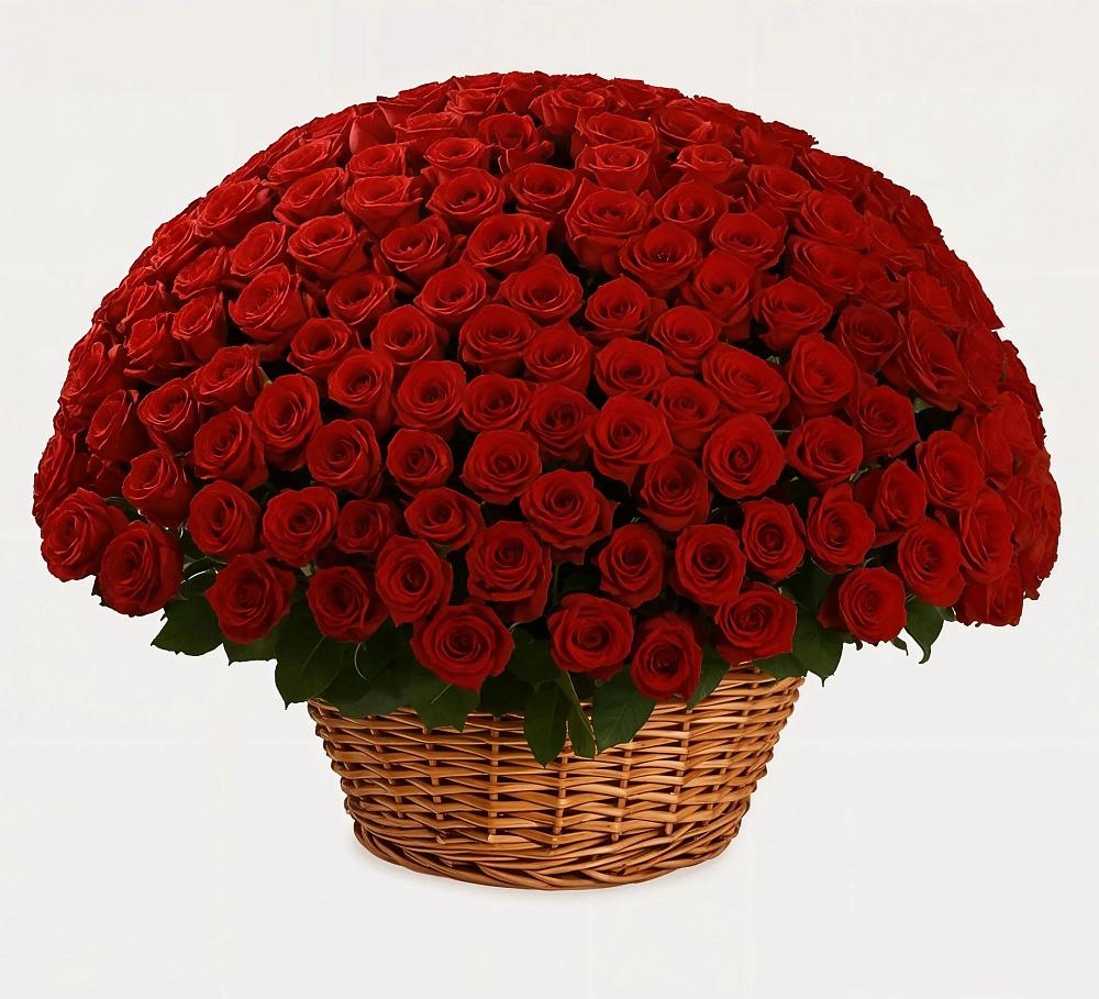 Премиум букет из: Розы в Параньге