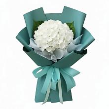 Букет цветов из:  Гортензия #REPLACE_PRED# Параньге